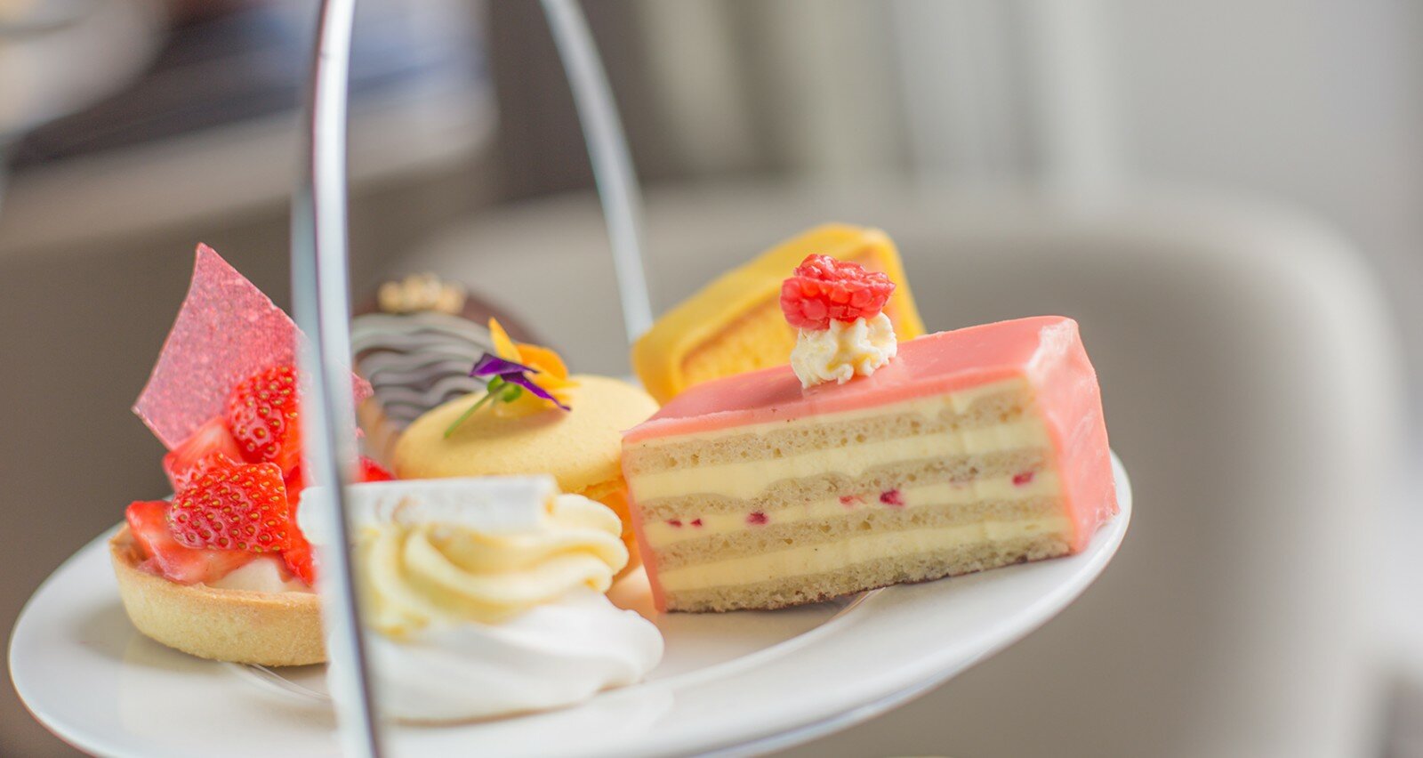 Raspberry and white chocolate slice